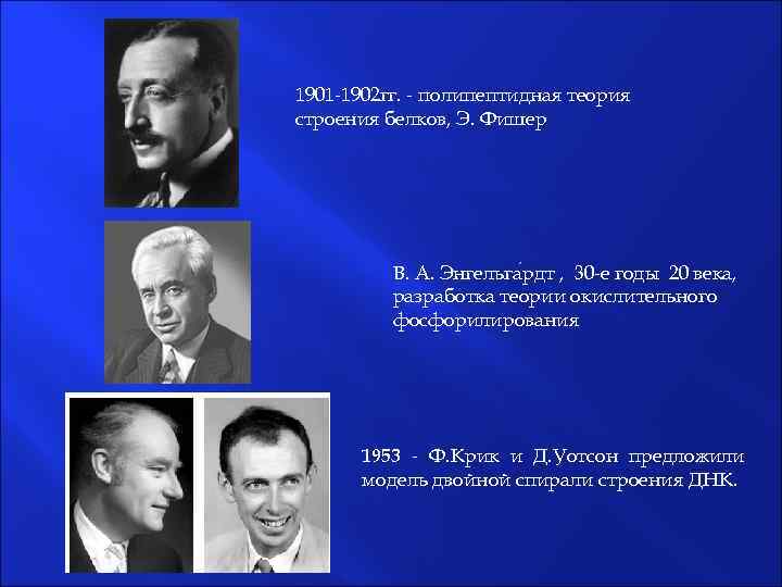 1901 -1902 гг. - полипептидная теория строения белков, Э. Фишер В. А. Энгельга рдт