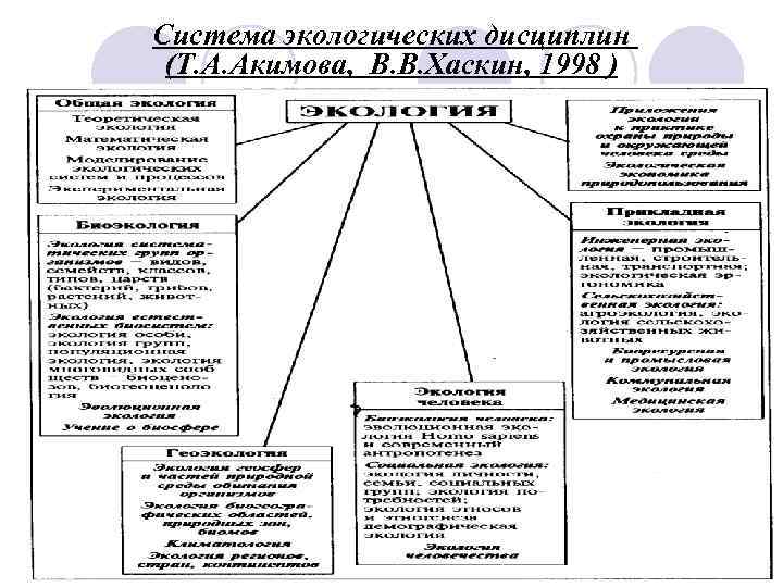 Система экологических дисциплин (Т. А. Акимова, В. В. Хаскин, 1998 ) 