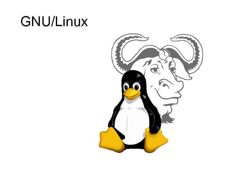 GNU/Linux 