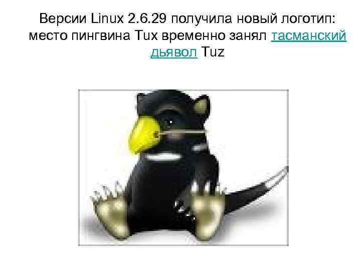 Версии Linux 2. 6. 29 получила новый логотип: место пингвина Tux временно занял тасманский