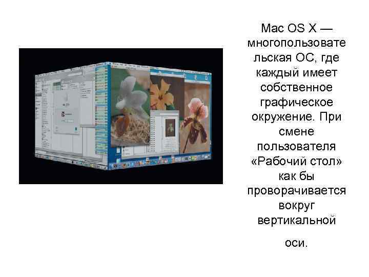 Mac OS X — многопользовате льская ОС, где каждый имеет собственное графическое окружение. При