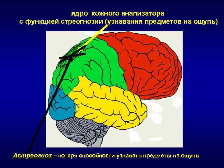 Отзывы центральный отдел