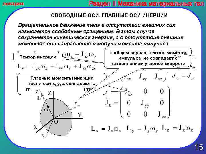 Свободно вращаются