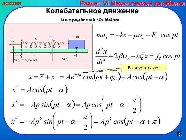 Колебательное движение Вынужденные колебания Быстро затухает 