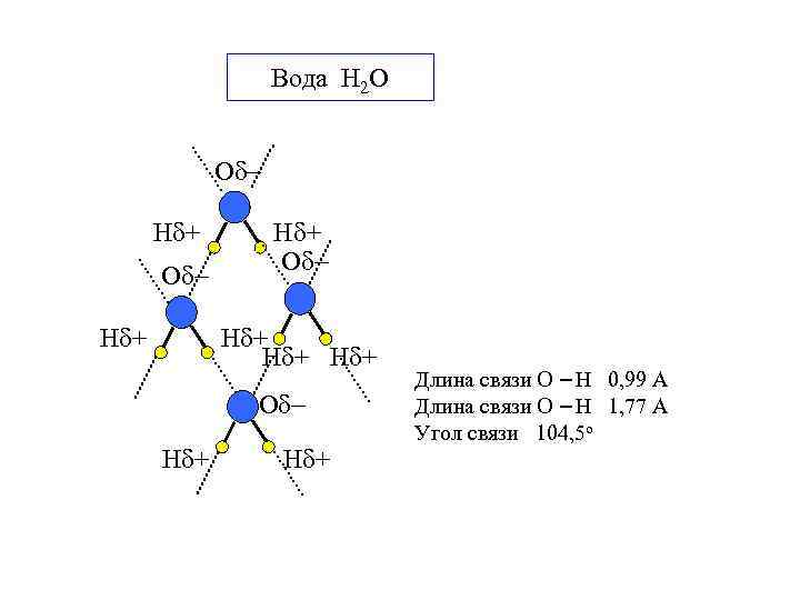 Вода H 2 O О Н + О О Н + Н + О