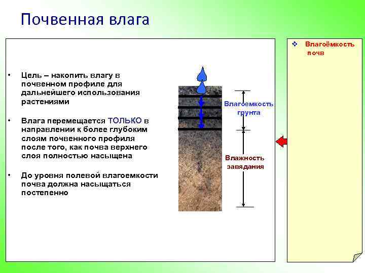 Почвенная влага v Влагоёмкость почв • • • Цель – накопить влагу в почвенном