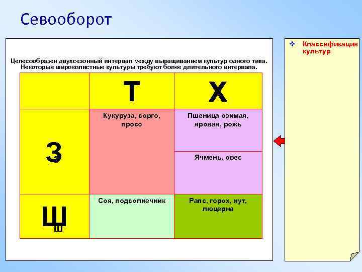 Севооборот v Классификация культур Целесообразен двухсезонный интервал между выращиванием культур одного типа. Некоторые широколистные