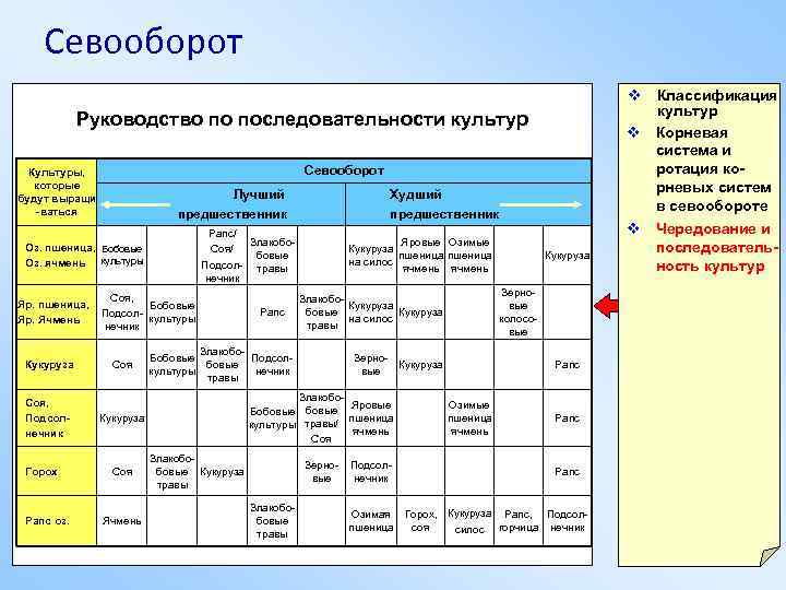 Севооборот Руководство по последовательности культур Севооборот Культуры, которые будут выращи -ваться Лучший предшественник Рапс/