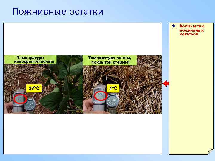 Пожнивные остатки v Количество пожнивных остатков Температура непокрытой почвы 23°С Температура почвы, покрытой стерней