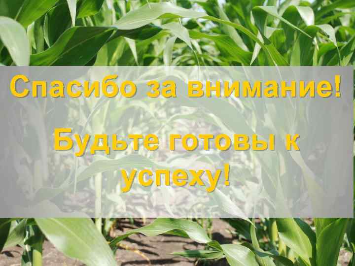 Спасибо за внимание! Будьте готовы к успеху! 