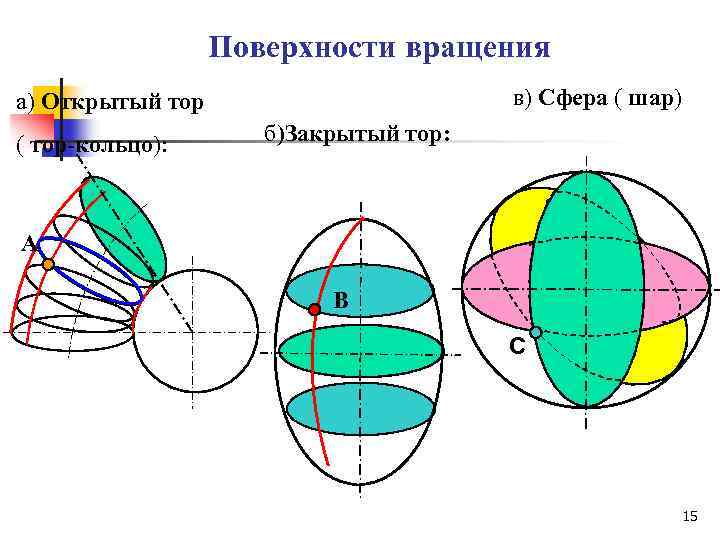 Поверхности вращения в) Сфера ( шар) а) Открытый тор ( тор-кольцо): б)Закрытый тор: А