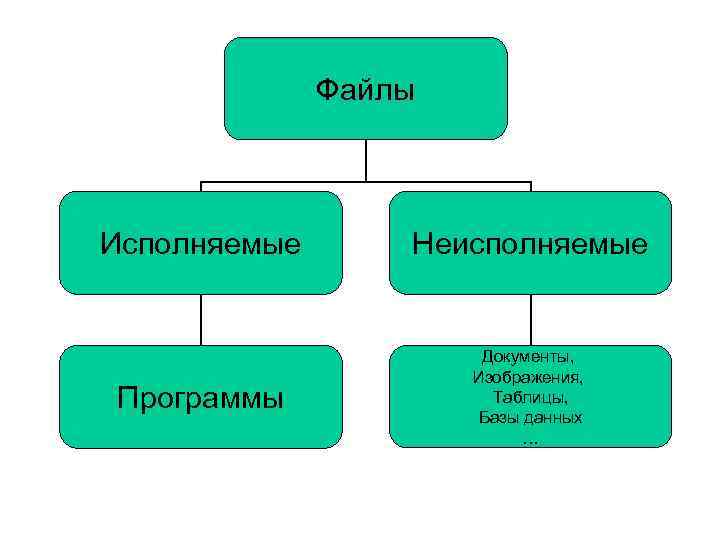 Файлы Исполняемые Неисполняемые Программы Документы, Изображения, Таблицы, Базы данных … 