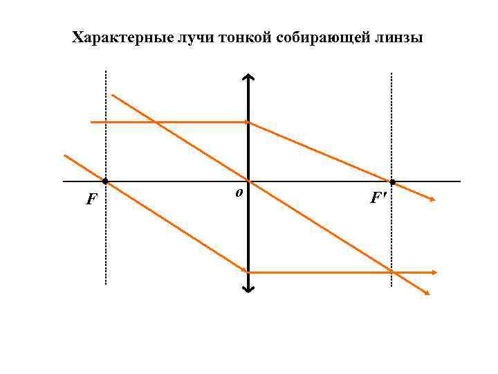 Характерные лучи тонкой собирающей линзы F o F' 