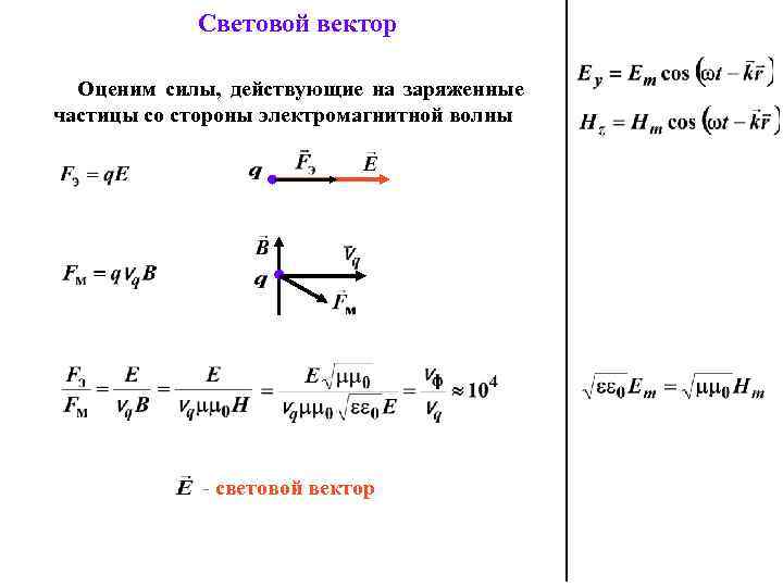 Световой вектор это