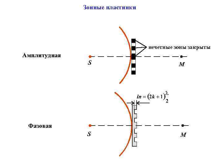 Зонные пластинки нечетные зоны закрыты Амплитудная S М Фазовая 