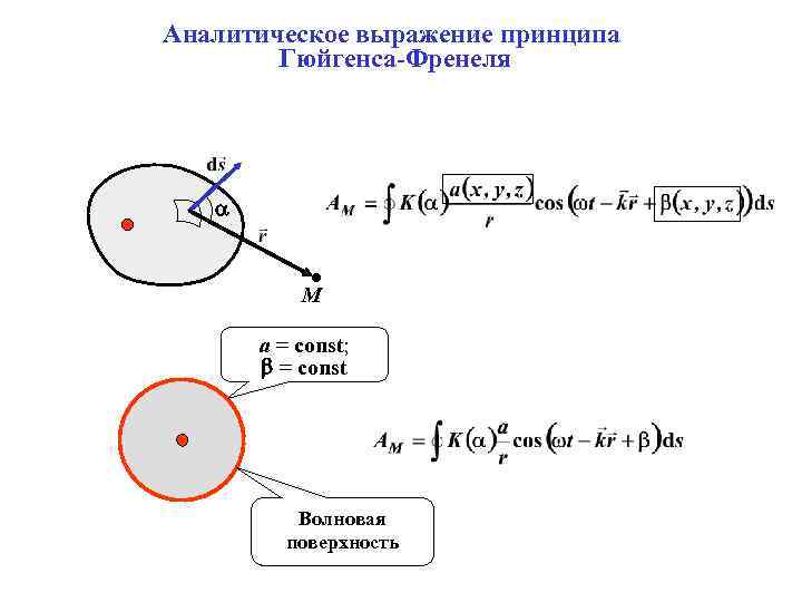 Аналитическое выражение принципа Гюйгенса-Френеля М a = const; = const Волновая поверхность 