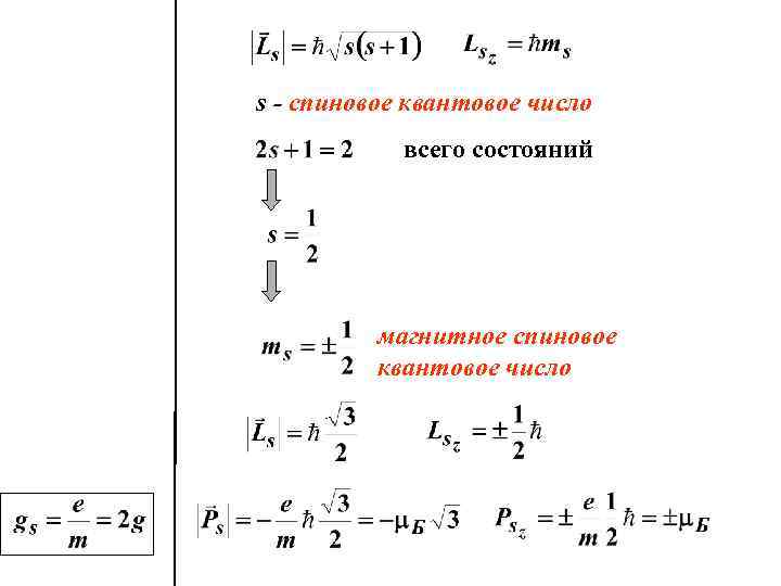 s - спиновое квантовое число всего состояний магнитное спиновое квантовое число 