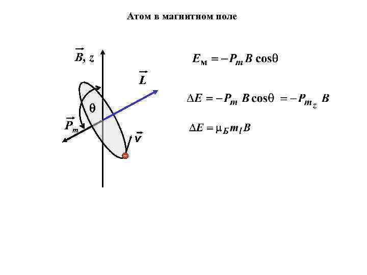 Атом в магнитном поле B, z L Pm v 