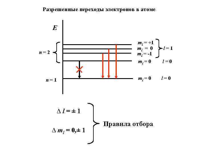 Разрешенные переходы электронов в атоме E ml = +1 ml = 0 ml =