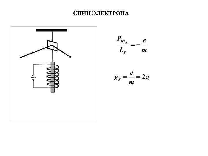 СПИН ЭЛЕКТРОНА 