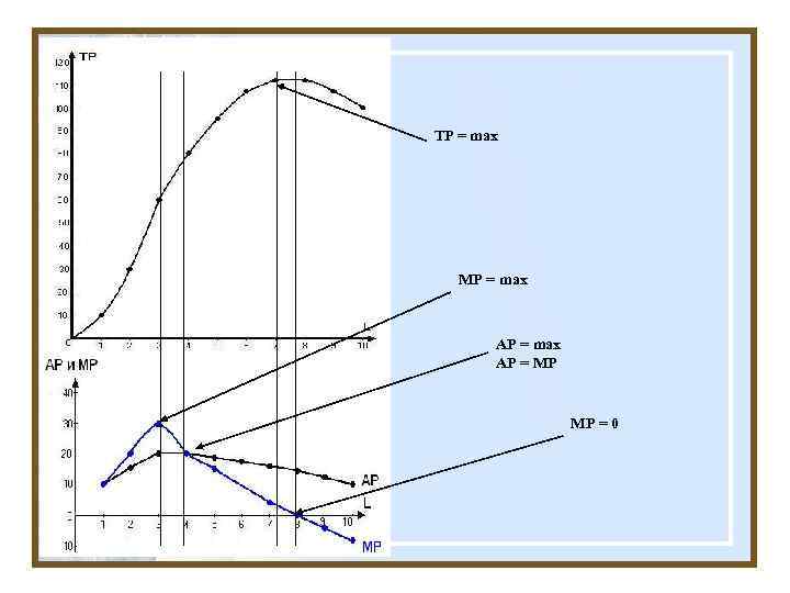 TP = max MP = max AP = MP MP = 0 