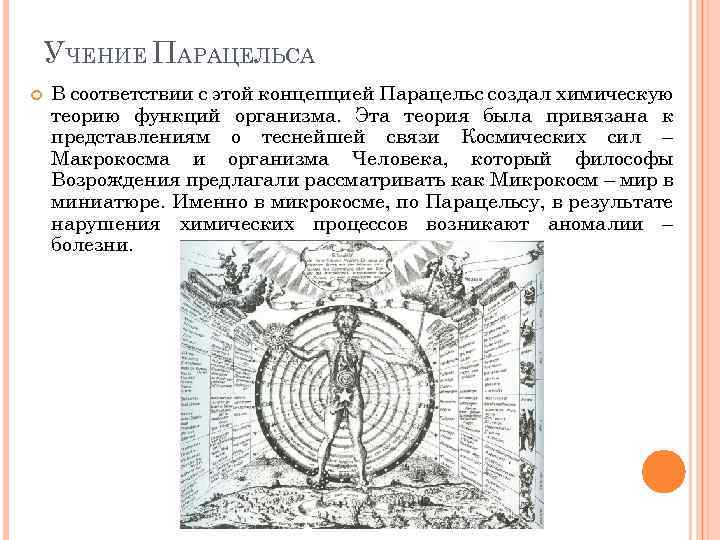 УЧЕНИЕ ПАРАЦЕЛЬСА В соответствии с этой концепцией Парацельс создал химическую теорию функций организма. Эта