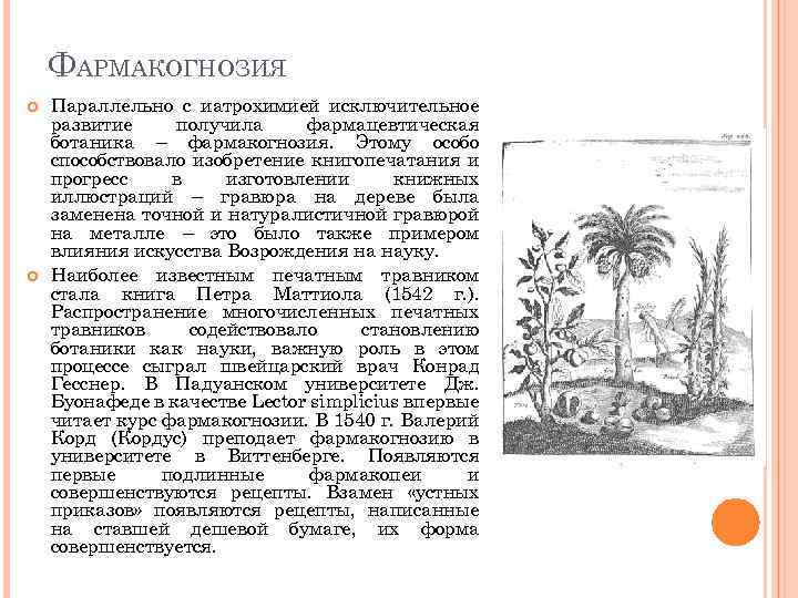 ФАРМАКОГНОЗИЯ Параллельно с иатрохимией исключительное развитие получила фармацевтическая ботаника – фармакогнозия. Этому особо способствовало