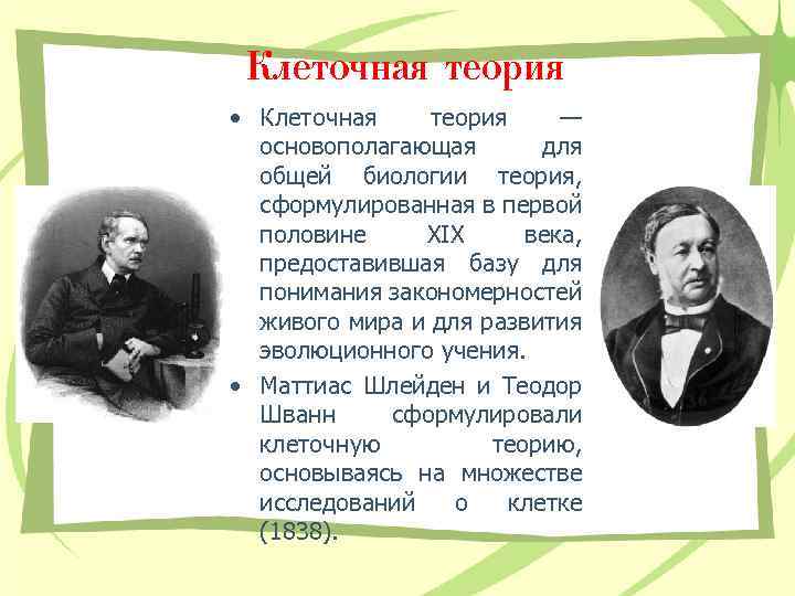 Клеточная теория • Клеточная теория — основополагающая для общей биологии теория, сформулированная в первой