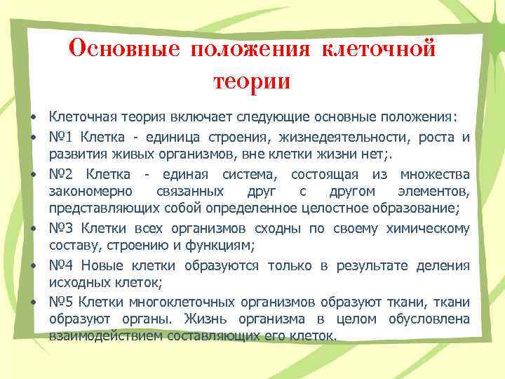 Основные положения клеточной теории • Клеточная теория включает следующие основные положения: • № 1