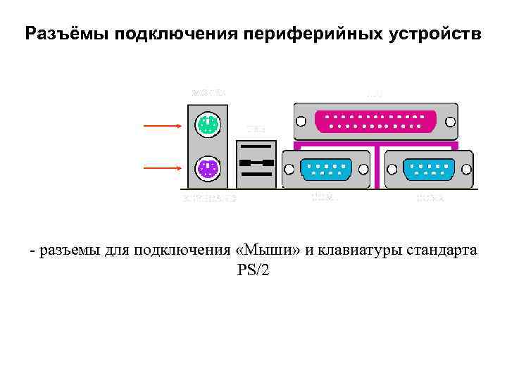 Разъёмы подключения периферийных устройств - разъемы для подключения «Мыши» и клавиатуры стандарта PS/2 