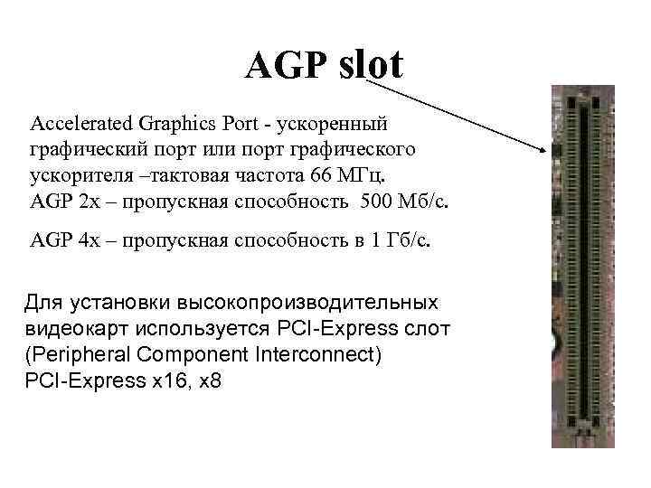 AGP slot Accelerated Graphics Port - ускоренный графический порт или порт графического ускорителя –тактовая