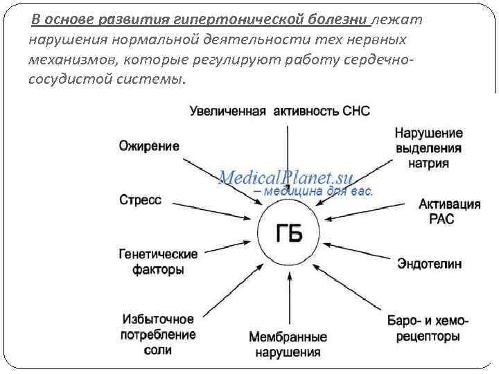 В основе развития гипертонической болезни лежат нарушения нормальной деятельности тех нервных механизмов, которые регулируют