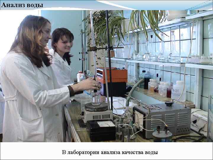 Анализ воды В лаборатории анализа качества воды 