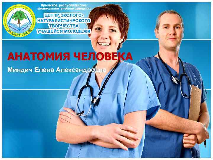 АНАТОМИЯ ЧЕЛОВЕКА Миндич Елена Александровна 