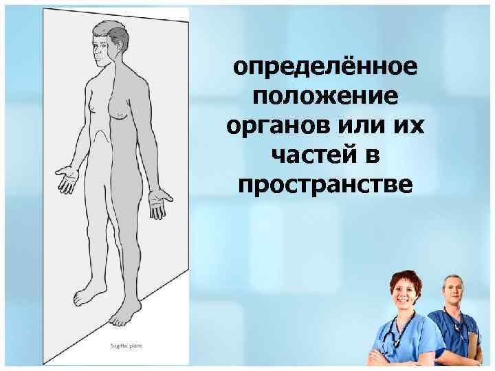 определённое положение органов или их частей в пространстве 