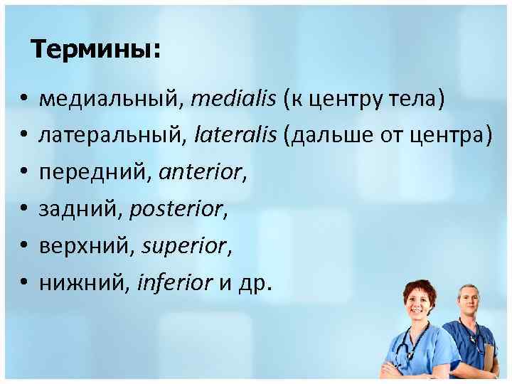 Термины: • • • медиальный, medialis (к центру тела) латеральный, lateralis (дальше от центра)