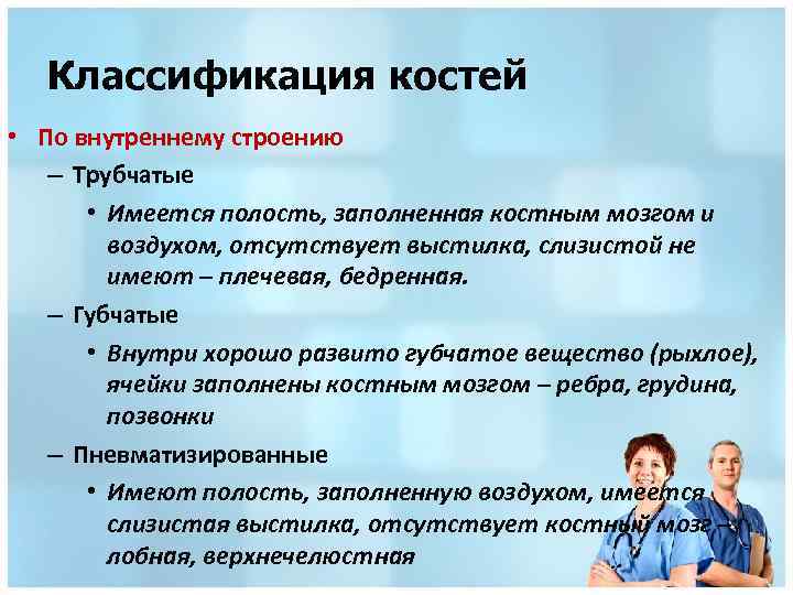 Классификация костей • По внутреннему строению – Трубчатые • Имеется полость, заполненная костным мозгом