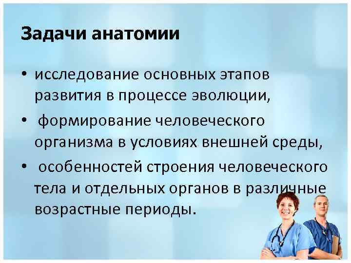 Основные задачи анатомии. Предмет задачи и методы изучения анатомии. Задачи анатомии и физиологии. Цели и задачи анатомии.