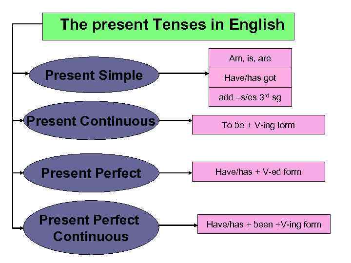 The present Tenses in English Am, is, are Present Simple Have/has got add –s/es