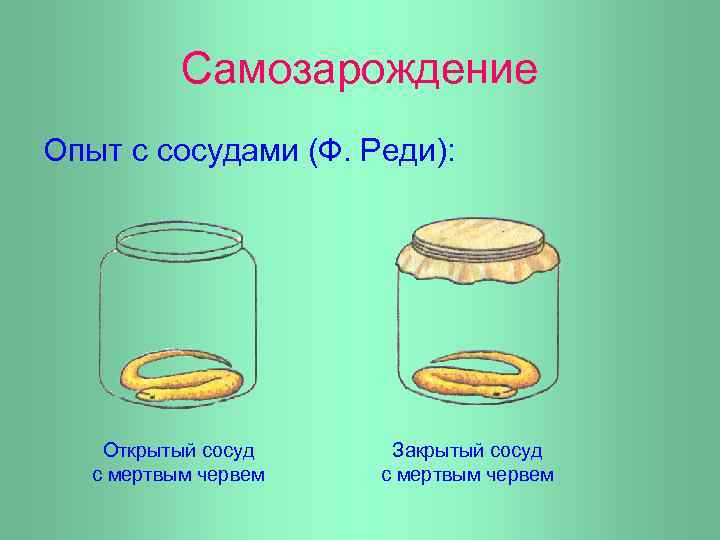 Самозарождение Опыт с сосудами (Ф. Реди): Открытый сосуд с мертвым червем Закрытый сосуд с