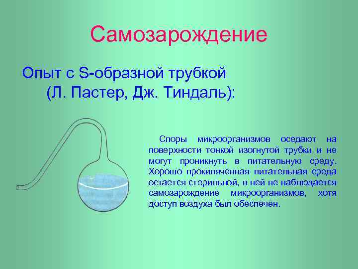 Самозарождение Опыт с S-образной трубкой (Л. Пастер, Дж. Тиндаль): Споры микроорганизмов оседают на поверхности