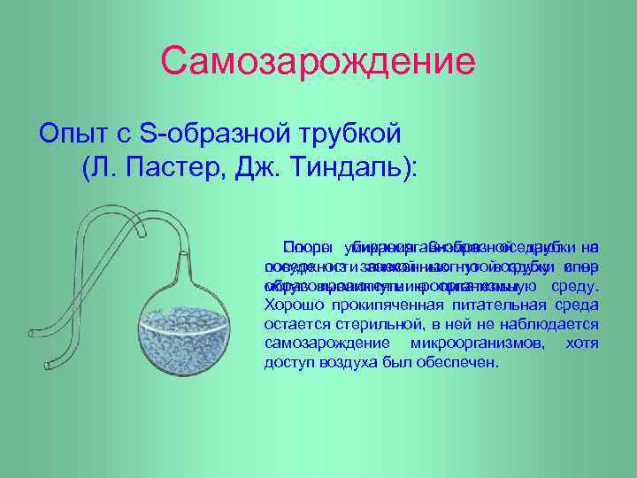 Самозарождение Опыт с S-образной трубкой (Л. Пастер, Дж. Тиндаль): После микроорганизмов оседают Споры убирания