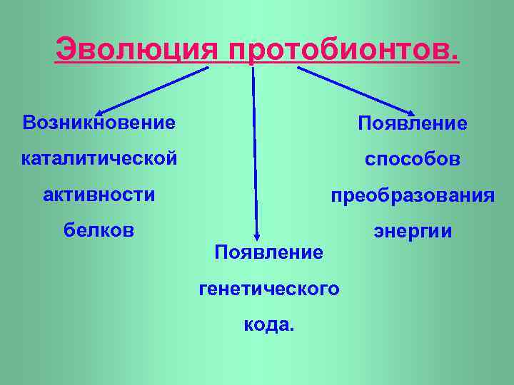 Эволюция протобионтов. Возникновение Появление каталитической способов активности преобразования белков энергии Появление генетического кода. 