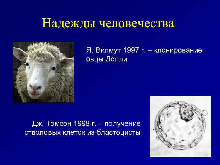Надежды человечества Я. Вилмут 1997 г. – клонирование овцы Долли Дж. Томсон 1998 г.