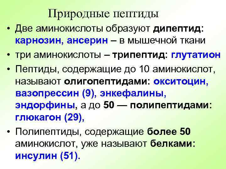 Природные пептиды • Две аминокислоты образуют дипептид: карнозин, ансерин – в мышечной ткани •