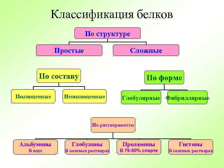 Классификация белков По структуре Простые Сложные По составу Полноценные По форме Неполноценные Глобулярные Фибриллярные