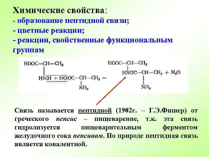 Химические свойства: - образование пептидной связи; - цветные реакции; - реакции, свойственные функциональным группам