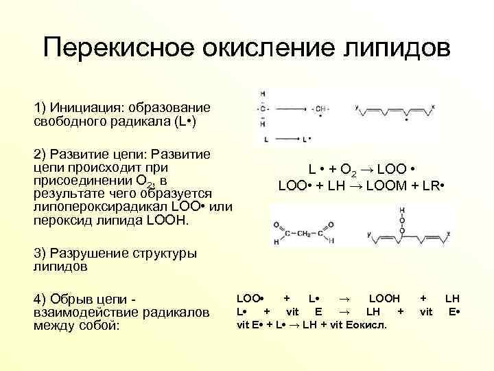 Схема участия усиленного перекисного окисления липидов в развитии патологии нейронов