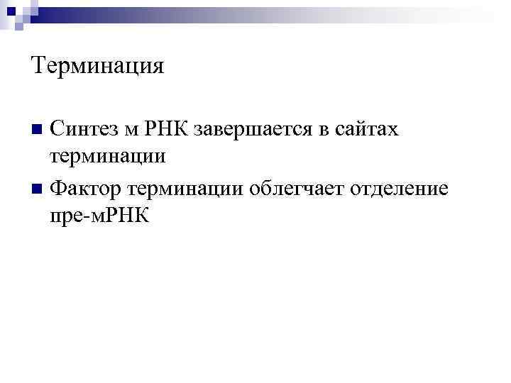Терминация Синтез м РНК завершается в сайтах терминации n Фактор терминации облегчает отделение пре-м.