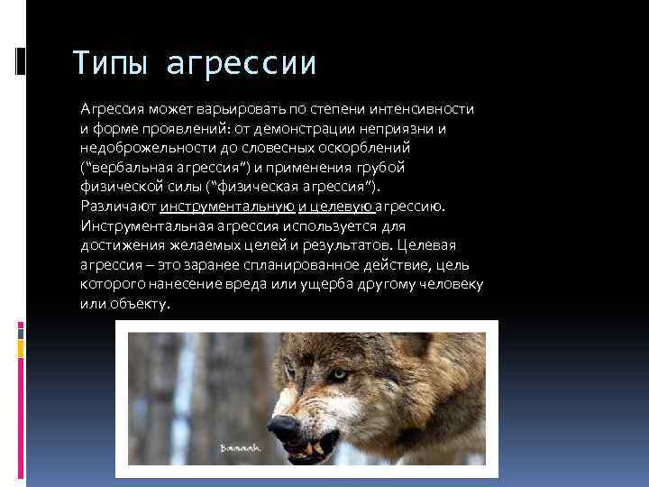 Типы агрессии Агрессия может варьировать по степени интенсивности и форме проявлений: от демонстрации неприязни